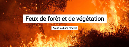 Feux de forêt et de végétation